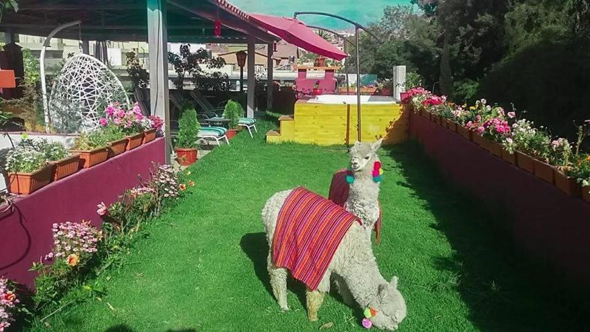 Gatsby Hotel Collection Arequipa Buitenkant foto